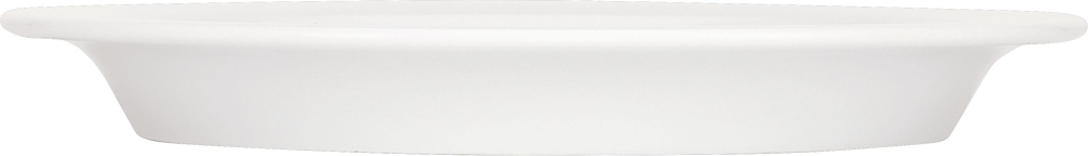 BAUSCHER dimension invita Spezialteller halbtief Fahne 25 cm