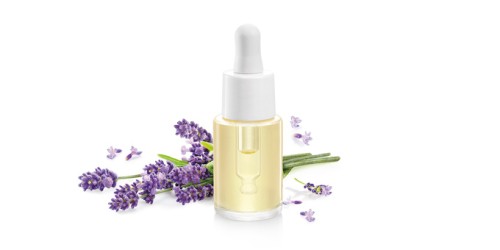 Ätherisches Öl FANCY HOME 15 ml, Lavendel