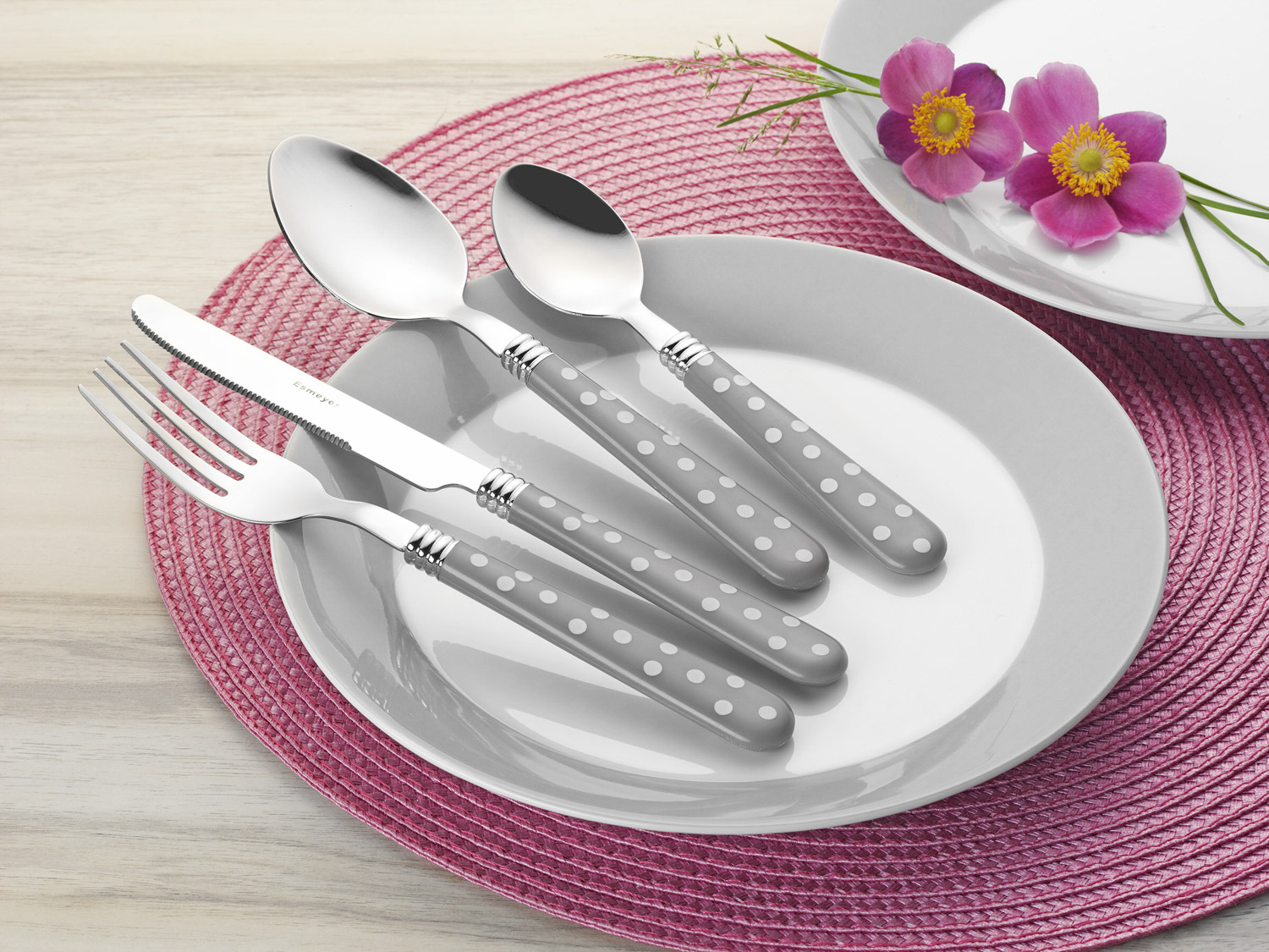 24-teiliges Besteck RAPUNZEL Edelstahl 18/0, poliert. Messer aus Klingenstahl. Die Kunststoffgriffe sind taupefarbend