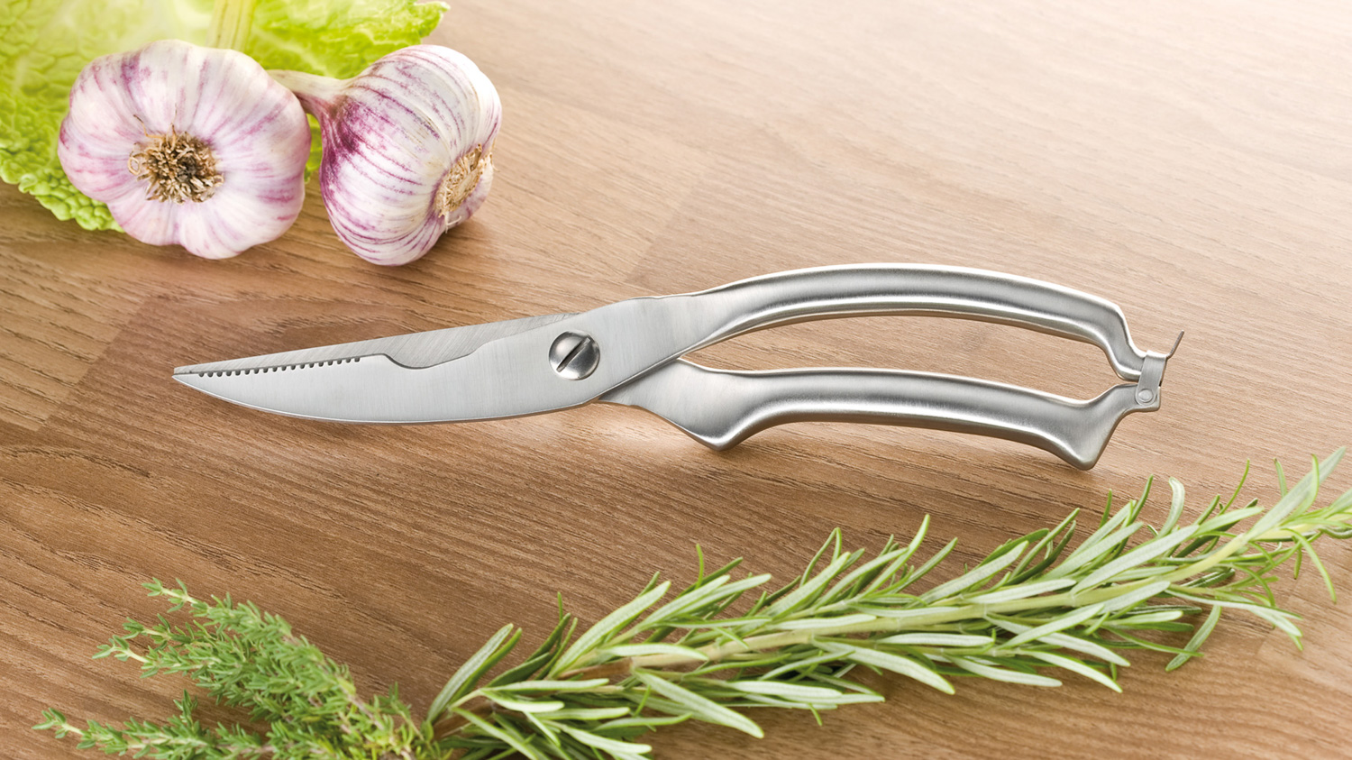 Geflügelschere POLLY, Klingen aus Spezialstahl, Hohlheft-Griff aus Edelstahl 18/0, Gesamtlänge ca. 25 cm,