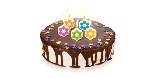 Kerze/HolzspickDELICIA KIDS,5x, ring, gelb