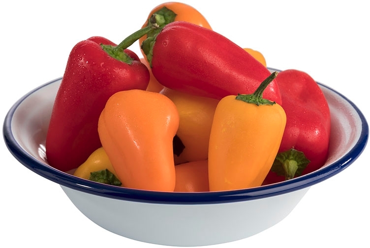 Schale -ENAMELWARE- Ø 16,5 cm, H: 4,5 cm emailliertes Stahlblech innen: weiß außen: weiß Rand: blau 0,45 Liter