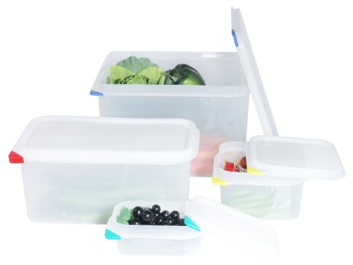 Behälter GN 1/1 100 mm