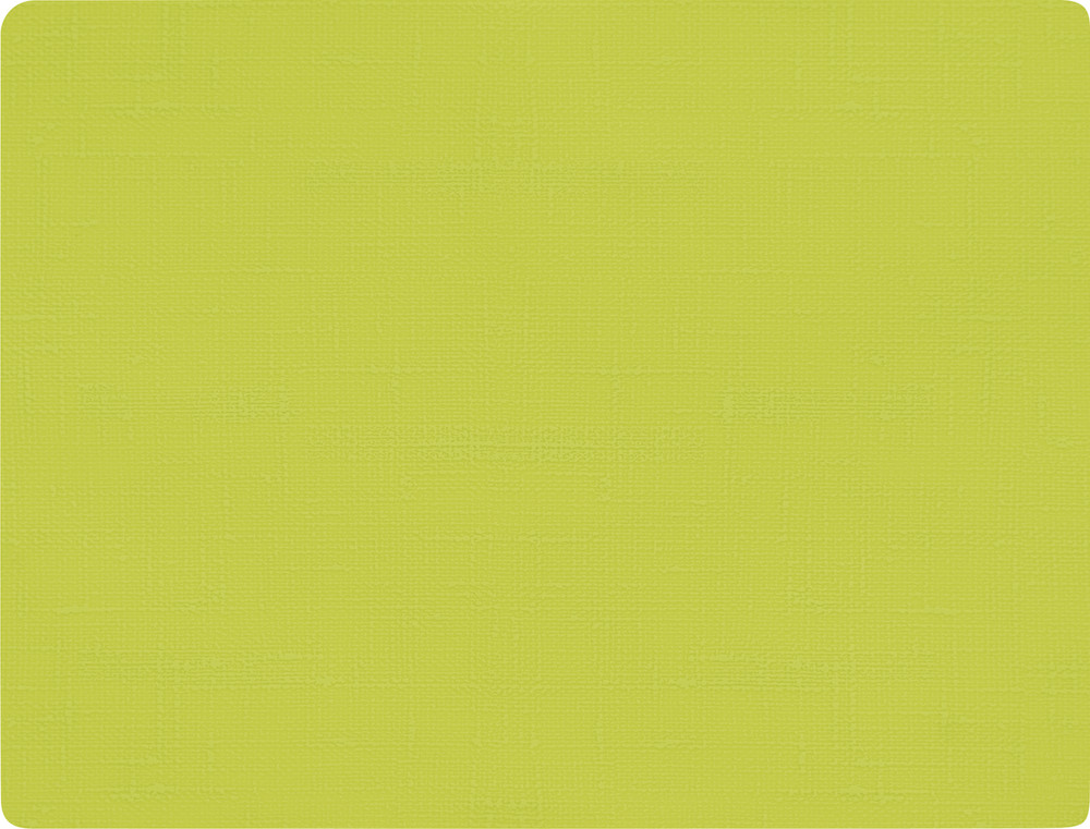 DUNI Silikon-Tischsets 30x45cm kiwi 6 Stück