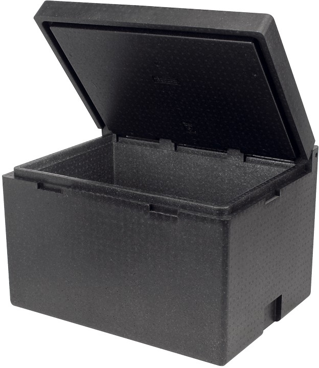 ETERNASOLID® EPP-Thermobox Toplader, Cargo