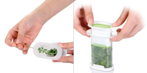 Presse für gefrorene Kräuter HANDY
