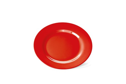 Teller MELAMIN. flach. Melamin, › leicht› schnittfest› temperaturbeständig von -30 °C