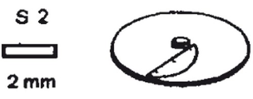 NEUMÄRKER Schneidscheibe S 2 für Multi-Gemüse-Schneider