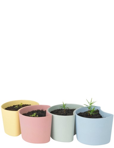 YOUR TREE Blumentöpfe mit Samen (Birke) pink, Maße: 83 x 95 x 70 mm