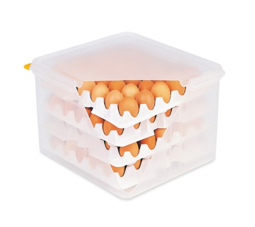 HACCP Eierbox. Eierbox. Polypropylen. zum Transport und zur HACCP gerechten Aufbewahrung