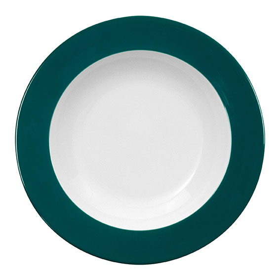 Teller tief 30 cm - Form: Table Selection - Dekor, 79933 türkisgrün - aus Porzellan. Hersteller:, Eschenbach. "Made in Germany".