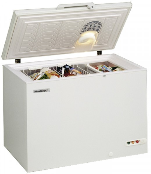 Nordcap Energiespar-Tiefkühltruhe EL 21 XLE, für Tiefkühlkost, steckerfertig, statische Kühlung