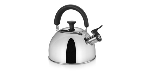 Tescoma Flötenkessel PERFECTA 2 Liter