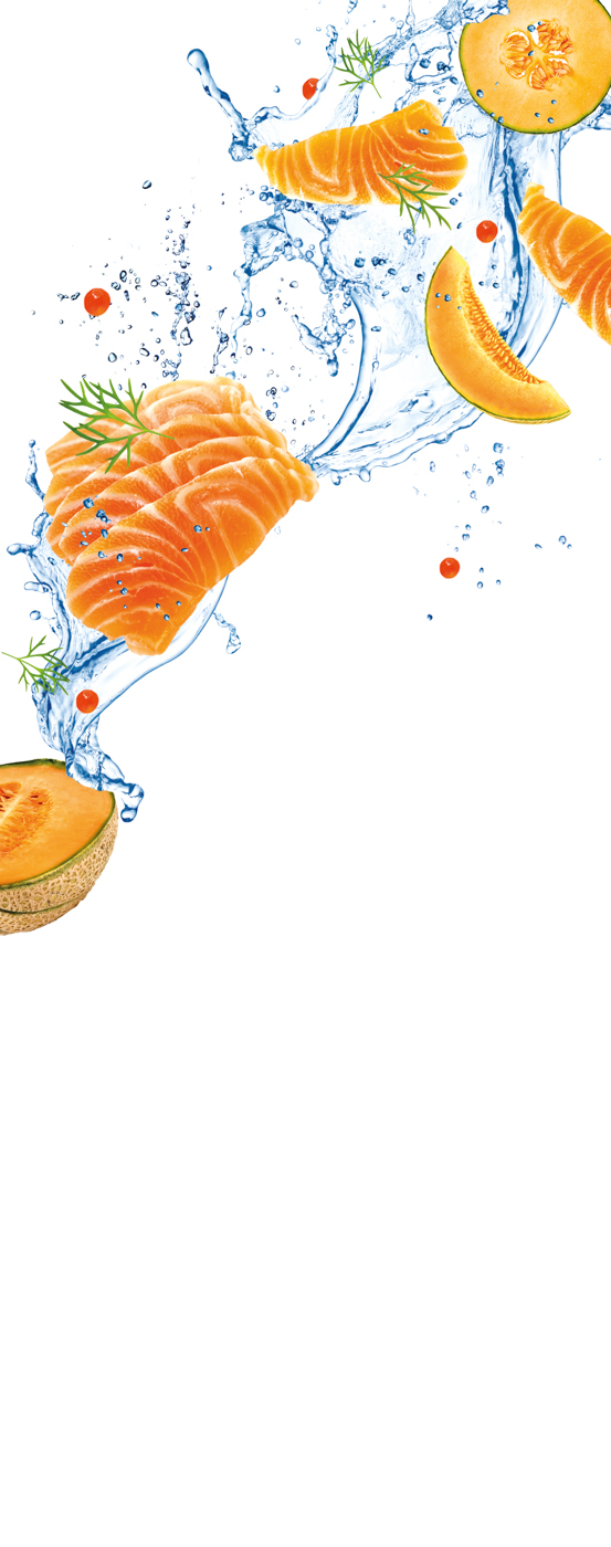 Tefal K1220114 - Beschichtetes Santoku-Messer 12 cm