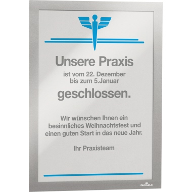 DURABLE Magnetrahmen DURAFRAME® DIN A4 silber 2 St./Pack.