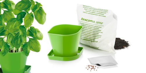 Kräuteranbau-Set SENSE, Basilikum