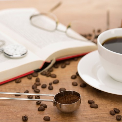 Westmark Kaffee-Dosierlöffel Edelstahl für 8 gr., 19 cm