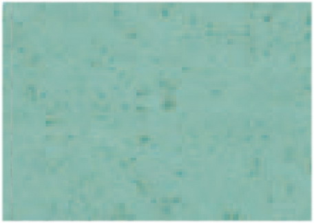 Tablett MAGIC 530 x 325 mm magic mint.