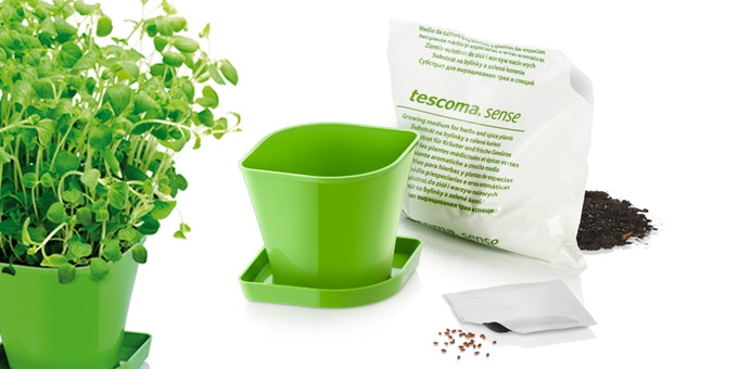 Kräuteranbau-Set SENSE, Oregano Kunststoff, seeds, growing medium