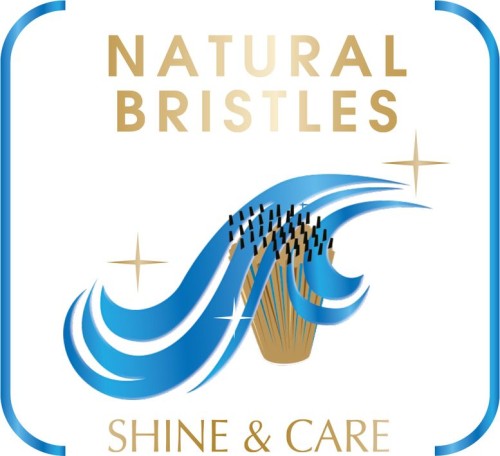 Rowenta Brush Activ Premium Care Warmluftbürste mit Naturborsten, weiß