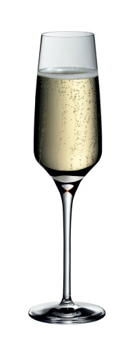 WMF DIVINE Sektkelch 0,1L (85.050.107) | Maße: 22,5 x 6 x 6 cm