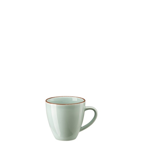Rosenthal Becher mit Henkel 0,35 Liter Profi Casual Mint aus Porzellan