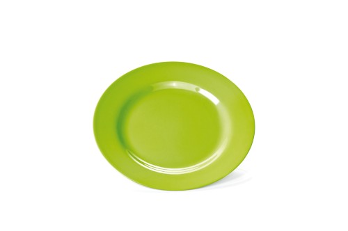 Teller MELAMIN. flach. Melamin, › leicht› schnittfest› temperaturbeständig von -30 °C