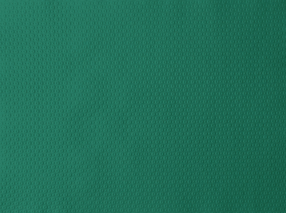 DUNI Papier-Tischsets 30 x 40 cm, jägergrün