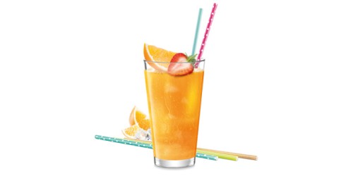 Trinkhalme aus Papier myDRINK 24 St.