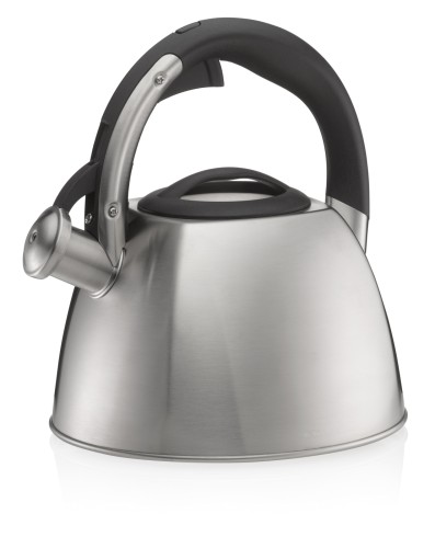 Wasserkessel Vitus Edelstahl 18/10 silber matt 24,5 cm 22,0 cm Ø 2,4l von Kela