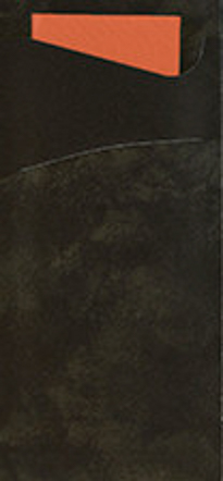 DUNI SACCHETTO 190x85mm schwarz/Serv. mandarin 100 Stück