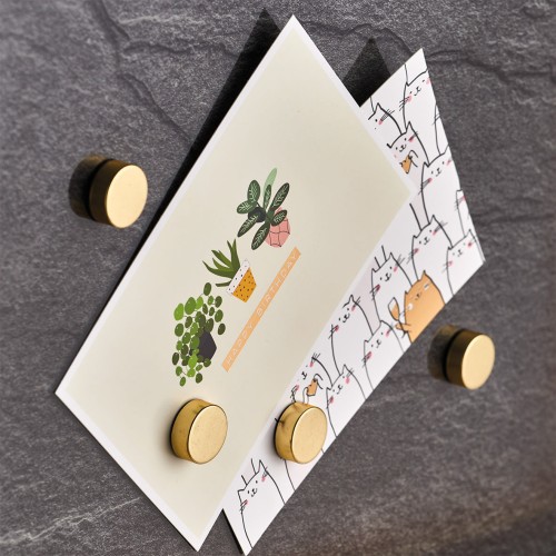Magnet-Set, 4-tlg., extra stark, gold. Ø: 23 mm. Höhe: 9 mm.
