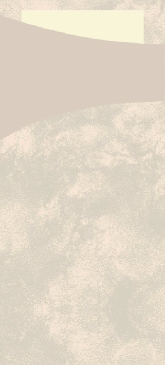 DUNI SACCHETTO 190x85mm nature/Serv.cream 100 Stück