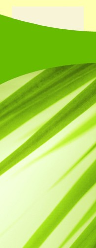 DUNI SACCHETTO 190x85mm Bamboo/Serv.cream 100 Stück