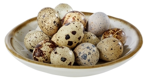 Schale -STONE ART- Ø 15,5 cm, H: 2,5 cm Melamin innen: Dekor, weiß Rand: braun außen: weiß 0,15 Liter spülmaschinengeeignet