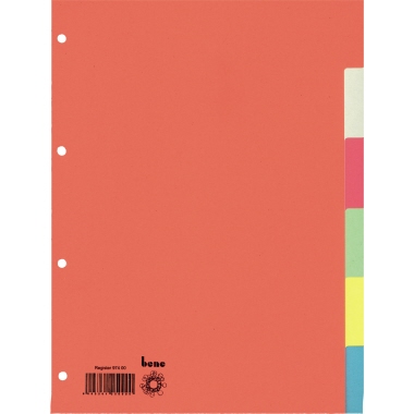 Bene Ordnerregister DIN A4 blanko Recyclingkarton farbig sortiert 6 Registerblätter