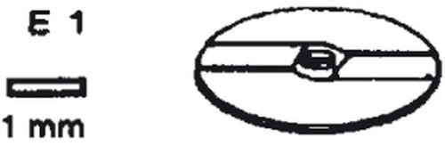 NEUMÄRKER Schneidscheibe E 1 für Multi-Gemüse-Schneider