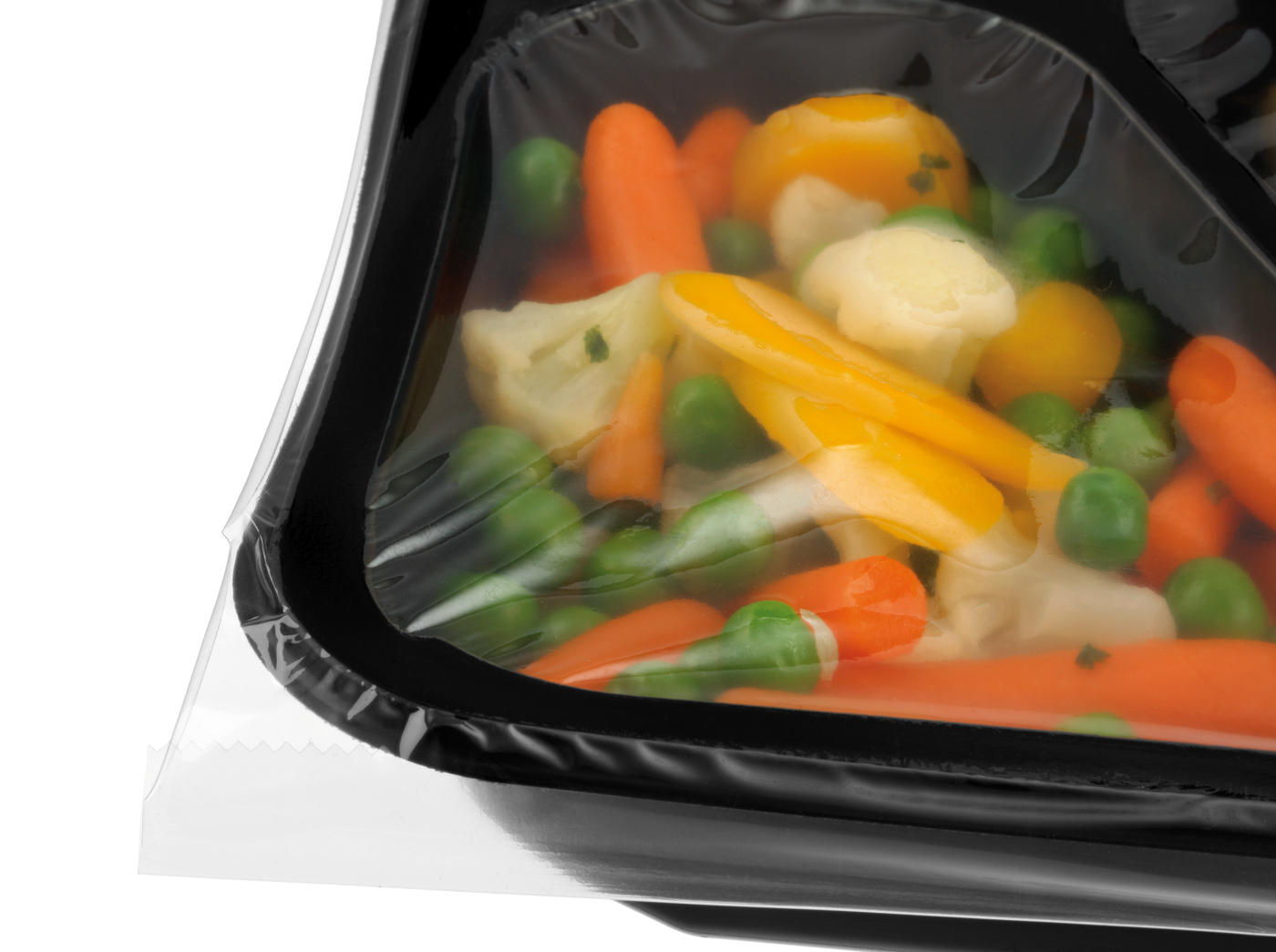 Bartscher Menüschale 23180-3 | Eigenschaften:Geschmacksneutral | Maße: 18 x 22,5 x 4,0 cm.Gewicht: 1 kg