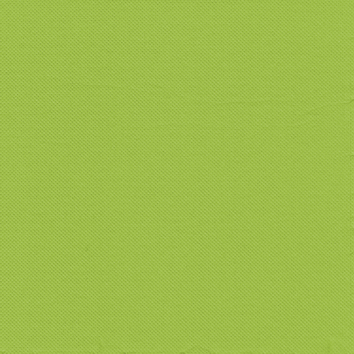 30 Servietten, 2-lagig "PUNTO" 1/4-Falz 38 cm x 38 cm apfelgrün mikrogeprägt von PAPSTAR