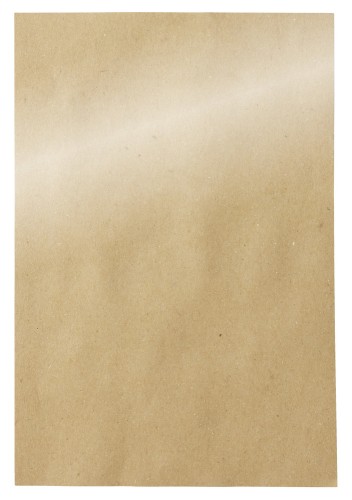 DUNI Papier-Tischsets 20x30cm Fingerfood neutral 250 Stück