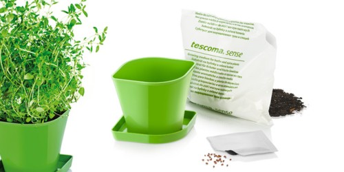 Kräuteranbau-Set SENSE, Thymian