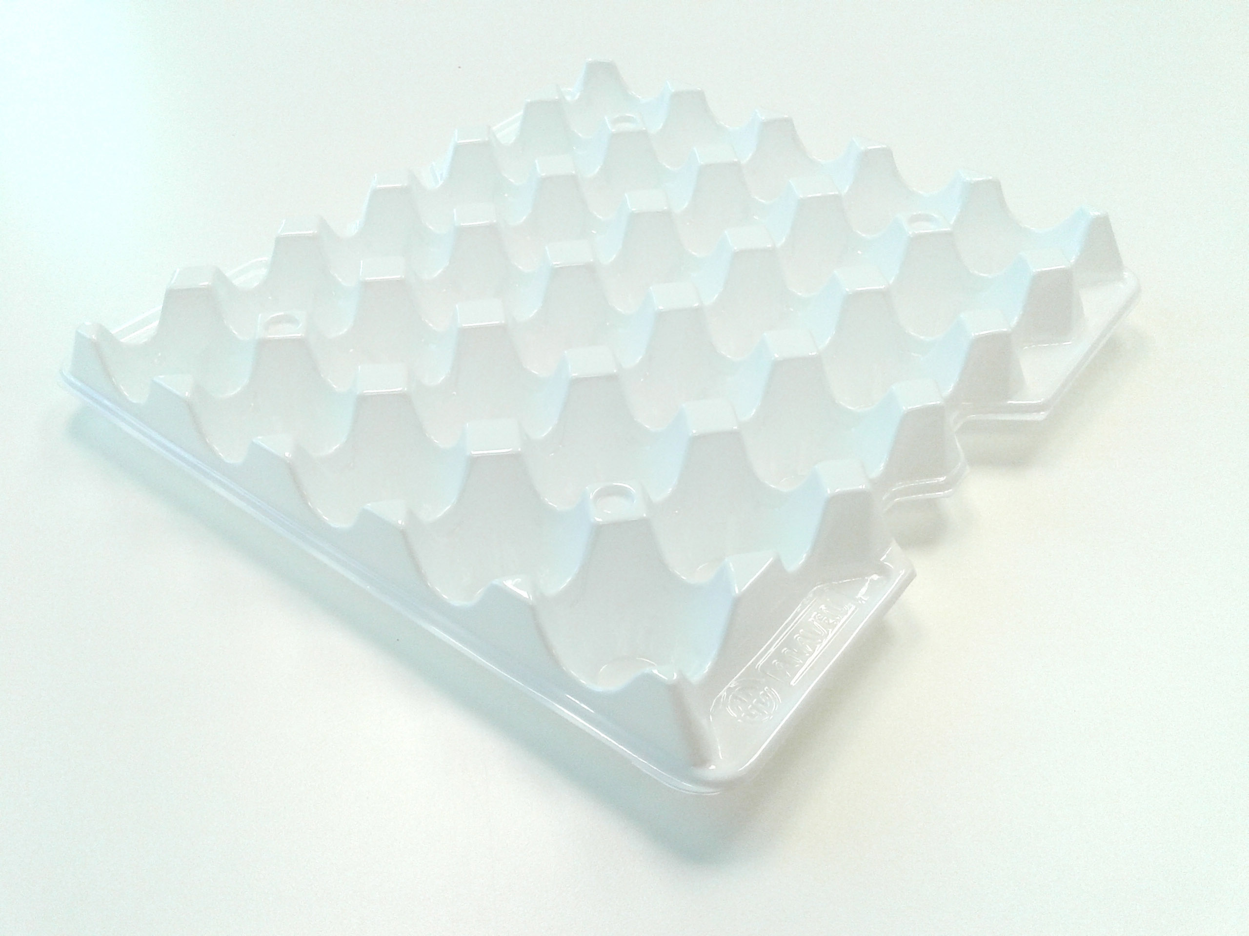 ARAVEN Einlage für den Eierbehälter GN 2/3, weiß