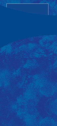 DUNI SACCHETTO 190x85mm d'blau/Serv.d'blau 100 Stück