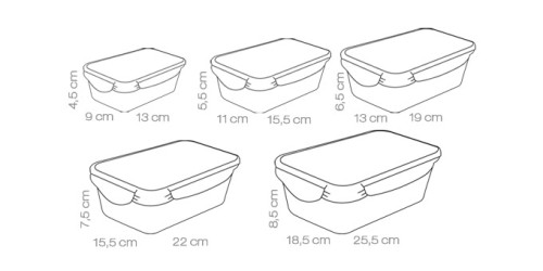 Dose FRESHBOX 5 St., rechteckig