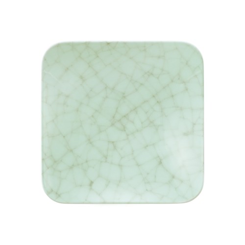 Seltmann Coupschale eckig 22x22 cm M5384, eckig, Form: Coup Fine Dining, Dekor: 57516 Growth, hohe Kantenschlagfestigkeit, Made in Germany