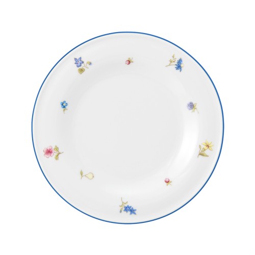 Seltmann Teller flach 17 cm, rund, Form: Community, Dekor: 57390 Streublume blaue Linie, hohe Kantenschlagfestigkeit, Made in Germany