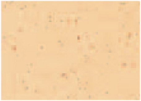 Tablett MAGIC 530 x 325 mm mokka.