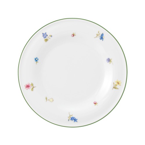 Seltmann Teller flach 17 cm, rund, Form: Community, Dekor: 57389 Streublume grüne Linie, hohe Kantenschlagfestigkeit, Made in Germany