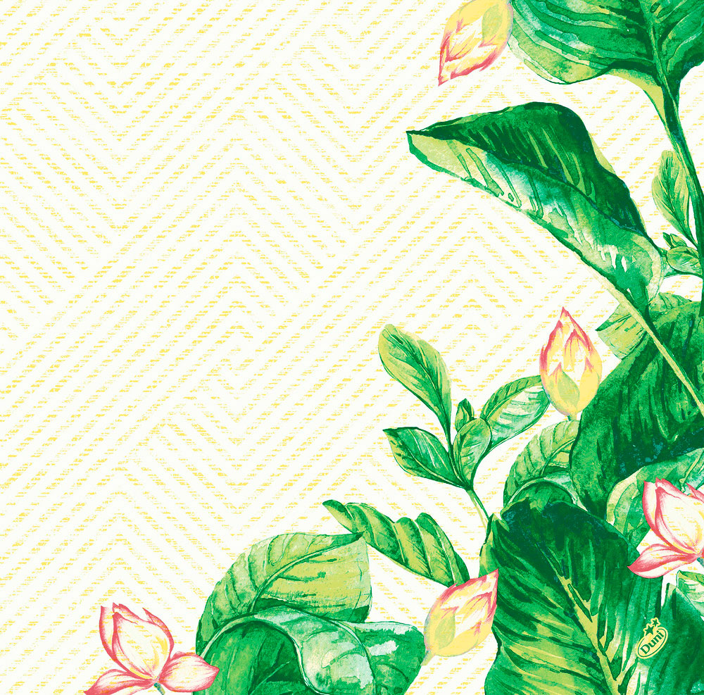 DUNI Dunisoft-Servietten 40 x 40 cm, Banas