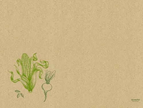 Duni Graspapier-Tischset 30 x 40 cm Veggies, 1000 Stk/Krt (4 x 250 Stk)